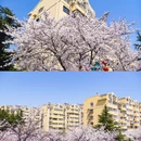 翠湖社区党群服务中心 - 青岛市旅游 缩略图 2