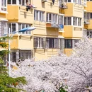 翠湖社区党群服务中心 - 青岛市旅游 缩略图 7