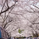 翠湖社区党群服务中心 - 青岛市旅游 缩略图 6