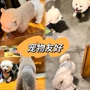 大福烧肉 - 西宁市旅游 缩略图 9