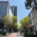 山野万里鲜花.绿植.茶饮工作室(东郊记忆店) - 成都市旅游 缩略图 7
