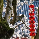 法喜讲寺 - 杭州市旅游 缩略图 7