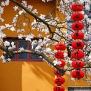 法喜讲寺 - 杭州市旅游 缩略图 6