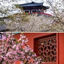 影视基地-三国水浒城 - 无锡市旅游 缩略图 5