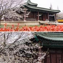 影视基地-三国水浒城 - 无锡市旅游 缩略图 1