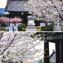 影视基地-三国水浒城 - 无锡市旅游 缩略图 3