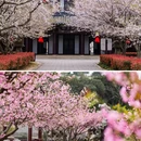 影视基地-三国水浒城 - 无锡市旅游 缩略图 4