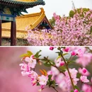 影视基地-三国水浒城 - 无锡市旅游 缩略图 6