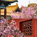 影视基地-三国水浒城 - 无锡市旅游 缩略图 9
