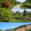 龟山汉墓 - 徐州市旅游 缩略图 8