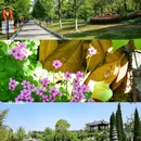龟山汉墓 - 徐州市旅游 缩略图 5