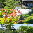龟山汉墓 - 徐州市旅游 缩略图 4