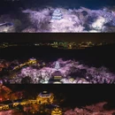 无锡太湖鼋头渚风景区 - 无锡市旅游 缩略图 5