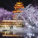 无锡太湖鼋头渚风景区 - 无锡市旅游 缩略图 8