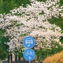 珍珠河 - 南京市旅游 缩略图 4