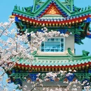 珍珠河 - 南京市旅游 缩略图 3