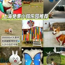 滩玩乐园-果岭咖啡 - 上海市旅游 缩略图 1