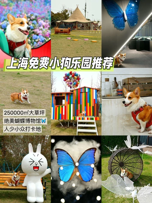 滩玩乐园-果岭咖啡 - 上海市旅游
