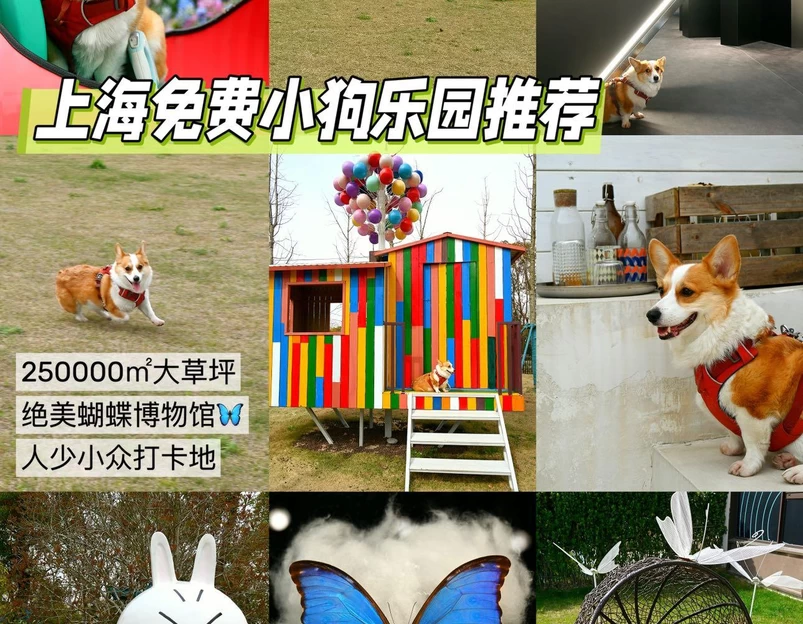 滩玩乐园-果岭咖啡 - 上海市旅游 1