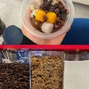 龙眼南美食街(菊园店) - 汕头市旅游 缩略图 3