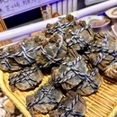 肆带贰丹东小海鲜 - 北京市旅游 缩略图 9