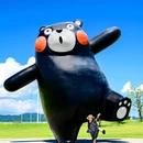 日本 - 海外旅游 缩略图 5