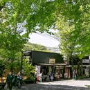 日本 - 海外旅游 缩略图 3