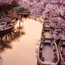 日本 - 海外旅游 缩略图 8