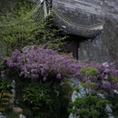 老门东 - 南京市旅游 缩略图 5