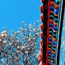 天坛公园 - 北京市旅游 缩略图 6