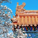 天坛公园 - 北京市旅游 缩略图 7