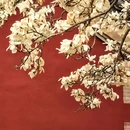 天坛公园 - 北京市旅游 缩略图 9