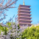 南京牛首山文化旅游区 - 南京市旅游 缩略图 4