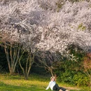 南京牛首山文化旅游区 - 南京市旅游 缩略图 1