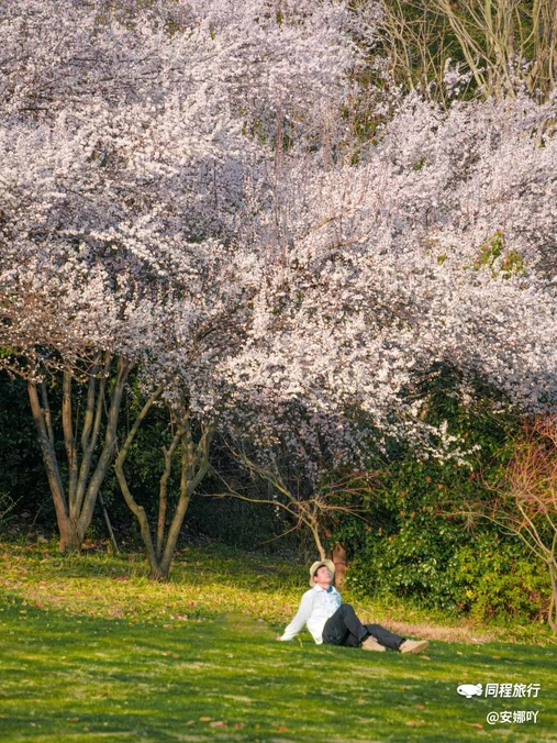 南京牛首山文化旅游区 - 南京市旅游