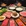 北京市·玺源居涮肉(王府井店)