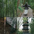 上海佘山国家旅游度假区 - 上海市旅游 缩略图 9