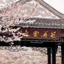 上海佘山国家旅游度假区 - 上海市旅游 缩略图 7