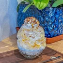 Kooriya Shark(鲨鱼冰屋) - 上海市旅游 缩略图 3