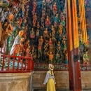 三爪仑国家森林公园 - 宜春市旅游 缩略图 5