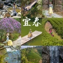 三爪仑国家森林公园 - 宜春市旅游 缩略图 1
