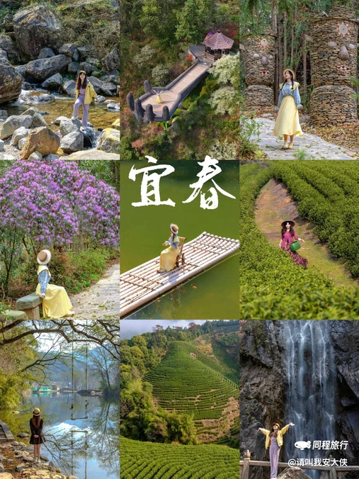 三爪仑国家森林公园 - 宜春市旅游