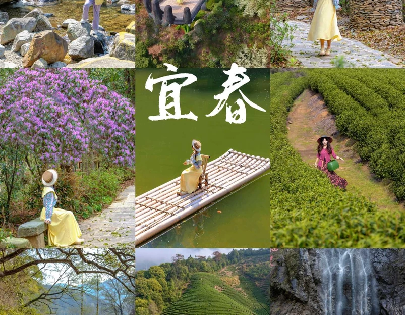 三爪仑国家森林公园 - 宜春市旅游 1