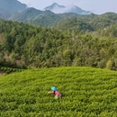 邓窝仑 - 宜春旅游 缩略图 8