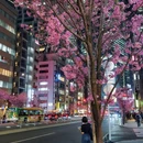 涩谷区 - 日本旅游 缩略图 3