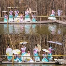 尚湖风景区-月堤 - 苏州市旅游 缩略图 5