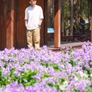 尚湖风景区-月堤 - 苏州市旅游 缩略图 4