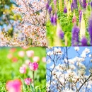 尚湖风景区-月堤 - 苏州市旅游 缩略图 7