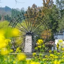 西递古村景区 - 黄山市旅游 缩略图 5