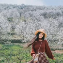 加级寨梨花谷 - 红河哈尼族彝族自治州旅游 缩略图 4